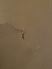 Fixing wall for re-painting?