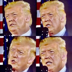 The Great American Comeback Festival - Not (Trump Thread #102)