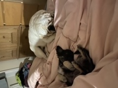 Ridiculous Hound Pics Thread