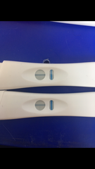 Vfp 5/6dpo???