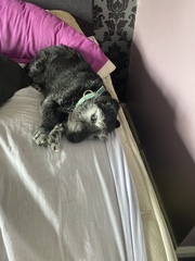 Ridiculous Hound Pics Thread