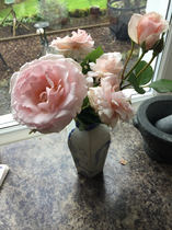 buying a rose online