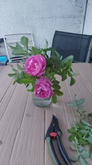 Penguin huddle 🐧🐧🐧 TTC after pregnancy loss - Thread 35 - time for some sticky BFP's