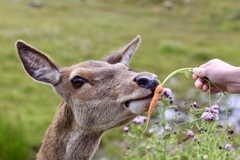 UK holiday - I had the best time out with my camera today