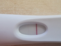 TTC 12 months buddies please