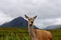 UK holiday - I had the best time out with my camera today