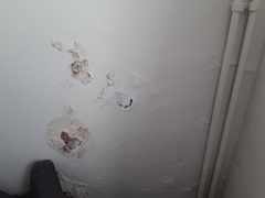 Anyone know of a national company that does damp proofing?