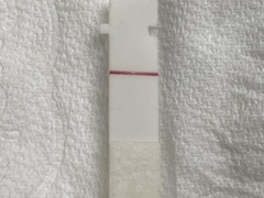 Positive OPK the day period is due!