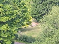 Lockdown (almost) over and frugalling continues!