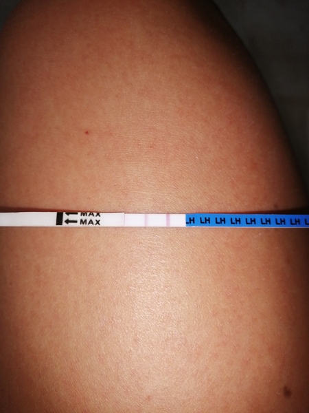 Would you say this is a positive ovulation test?
