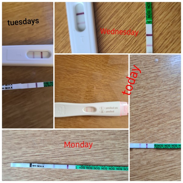 Pregnant after 2 miscarriages