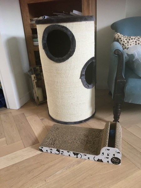 Introducing Millie
