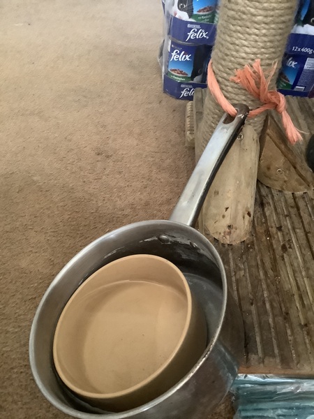 Elderly cat knocks every single water bowl over any ideas?