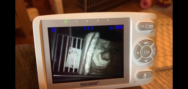 Baby keeps pulling off cot sheets