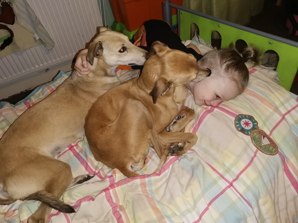 Which dog breed for us?