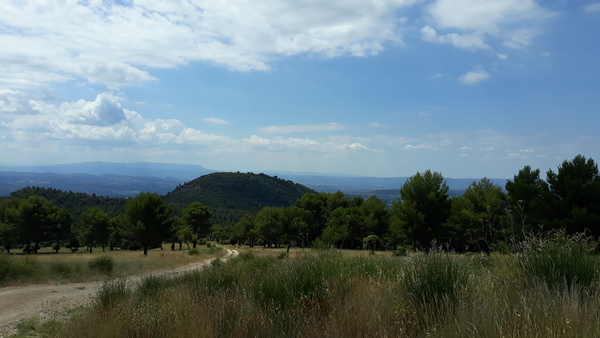 Westminstenders: PreGrades (Minority Report comes to the UK)