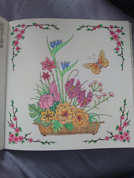 Adult colouring in