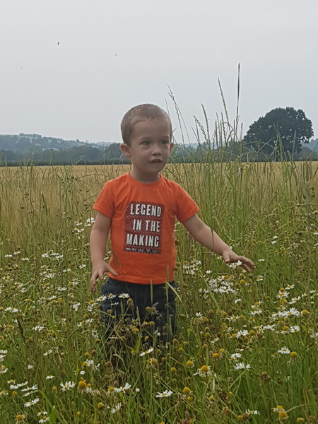 High risk quadruple test v low risk Harmony test