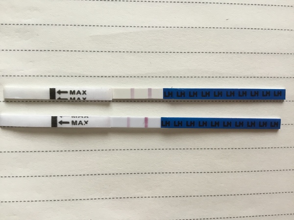 Opk positive?!