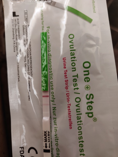 2 days late BFN- What is the latest anyone has had a BFP...