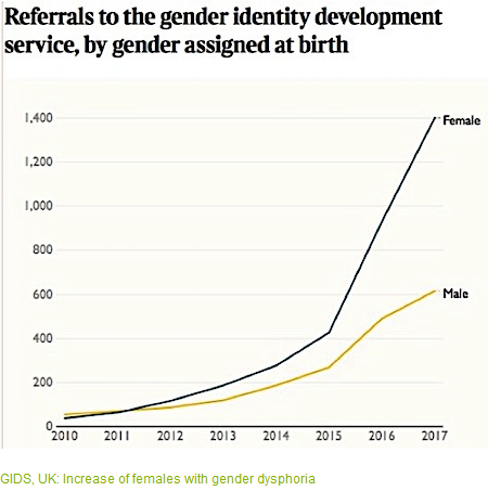 Spectator article worth a read