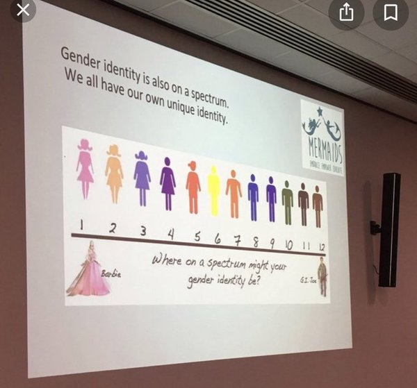 Has Mermaids removed a signs your child is trans page from its website