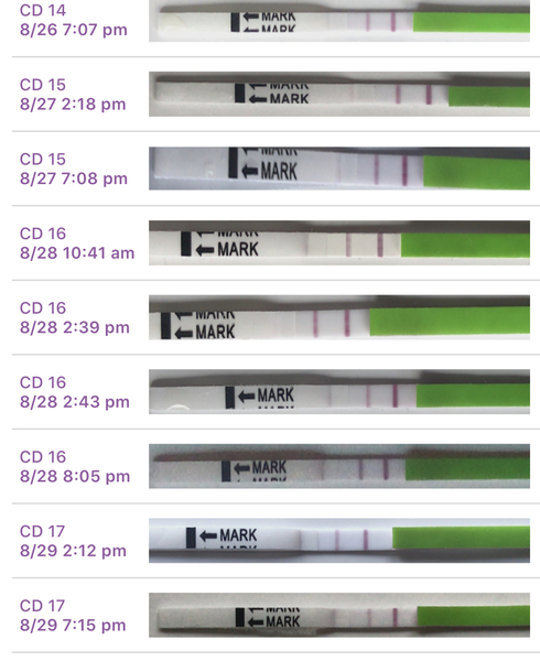 Clomid cycle1