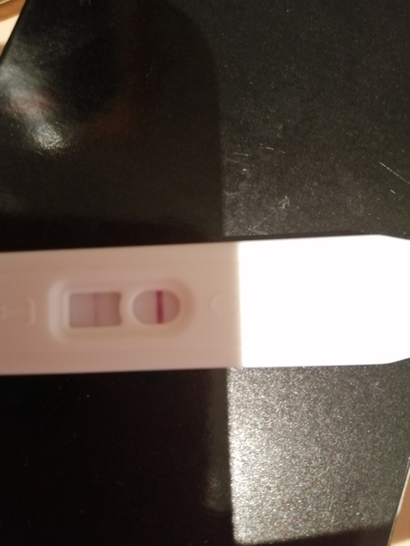 Ovulation test question