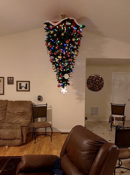 Alternative to Christmas tree?
