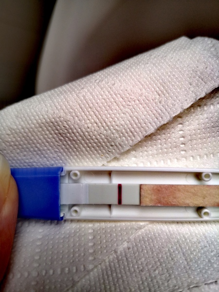 Possible early bfp?