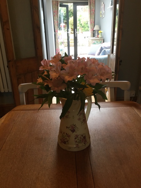 Westminstenders: Run Forrest Run