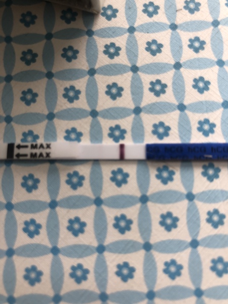 5dp5dt faint bfp