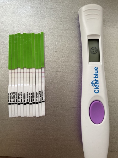 Ovulation.. lets go again !