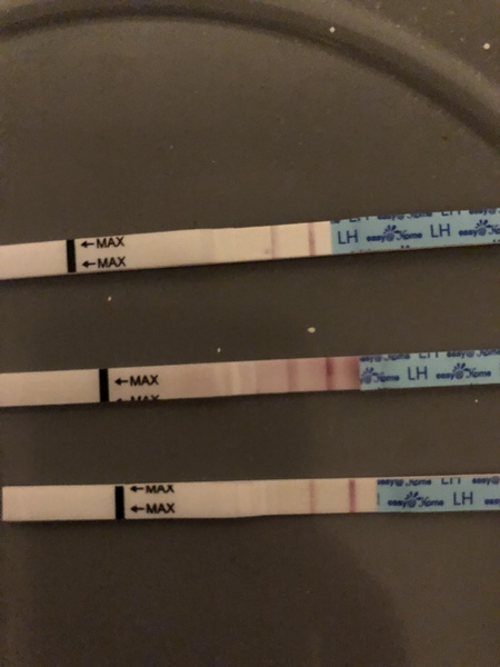 Ovulation test