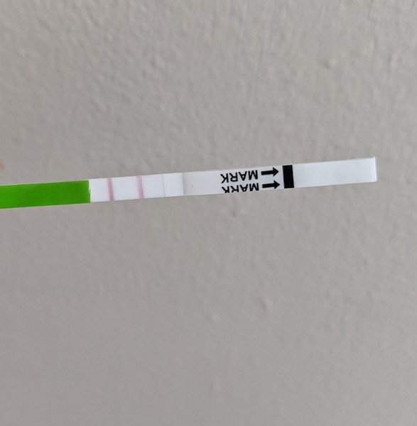 Is this a positive OV test?