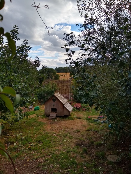 Help! Does anyone know someone who is looking to buy a lovely house in Suffolk? Or give helpful advice?