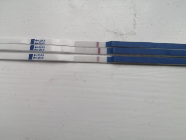 Early testing / symptom spotters anonymous continued...