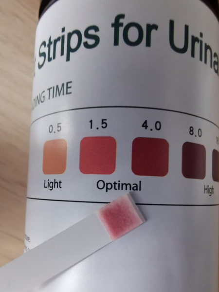 Blood Sugar Diet & Fast 800 Thread 21