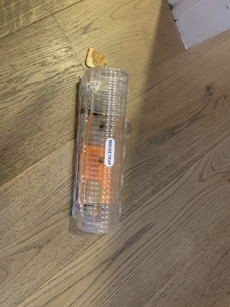 Help - hamster has escaped!