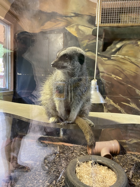 August Always Adds Pocket Pressure, Frugal Friends Thrive Thriftily