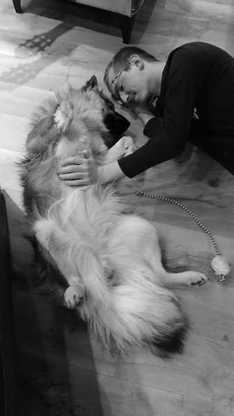 show me your dogs!