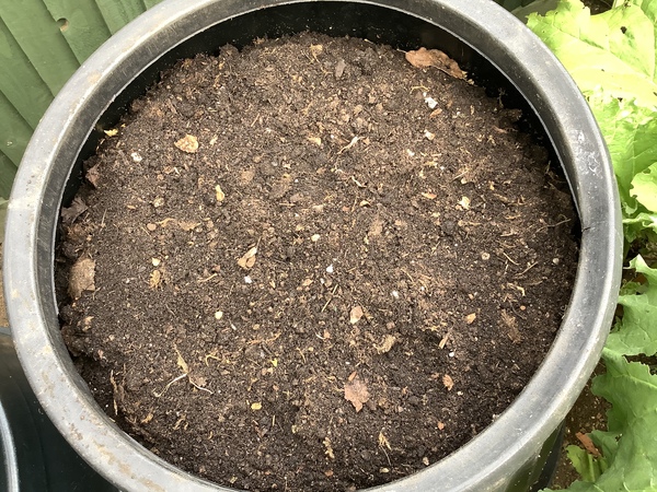 My Compost Heap Hell