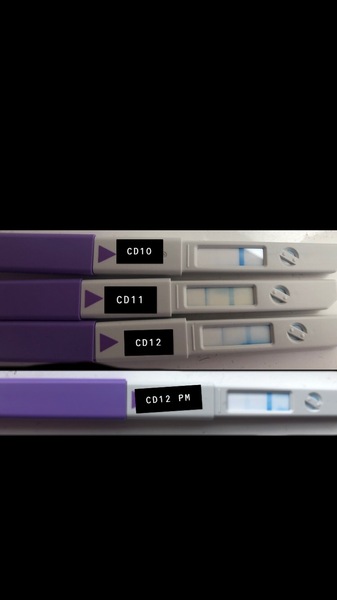 Ovulation test