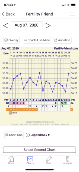 Longer cycles after a CP / Early Miscarriage