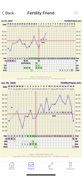 Double LH surge?