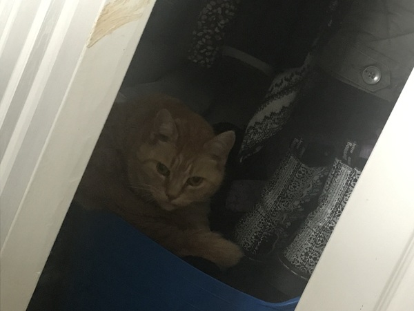 The cafe is still open thread 2