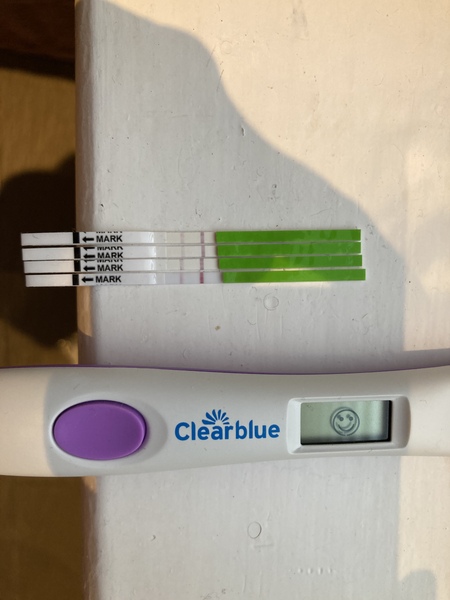 Clear blue digital advanced ovulation