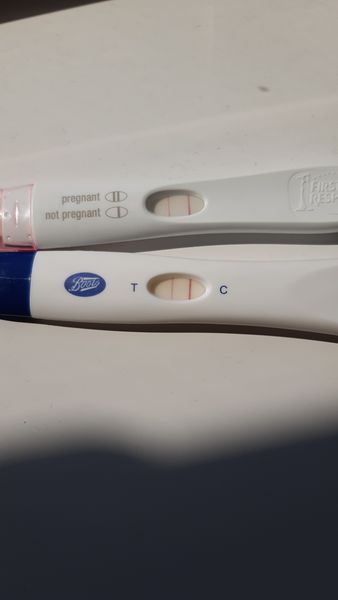 Progesterone levels day of transfer
