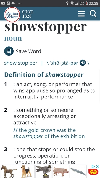 Is a 'show stopper' bad... and other things
