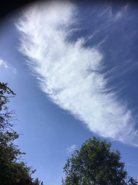 Any Witches Here? Part 11